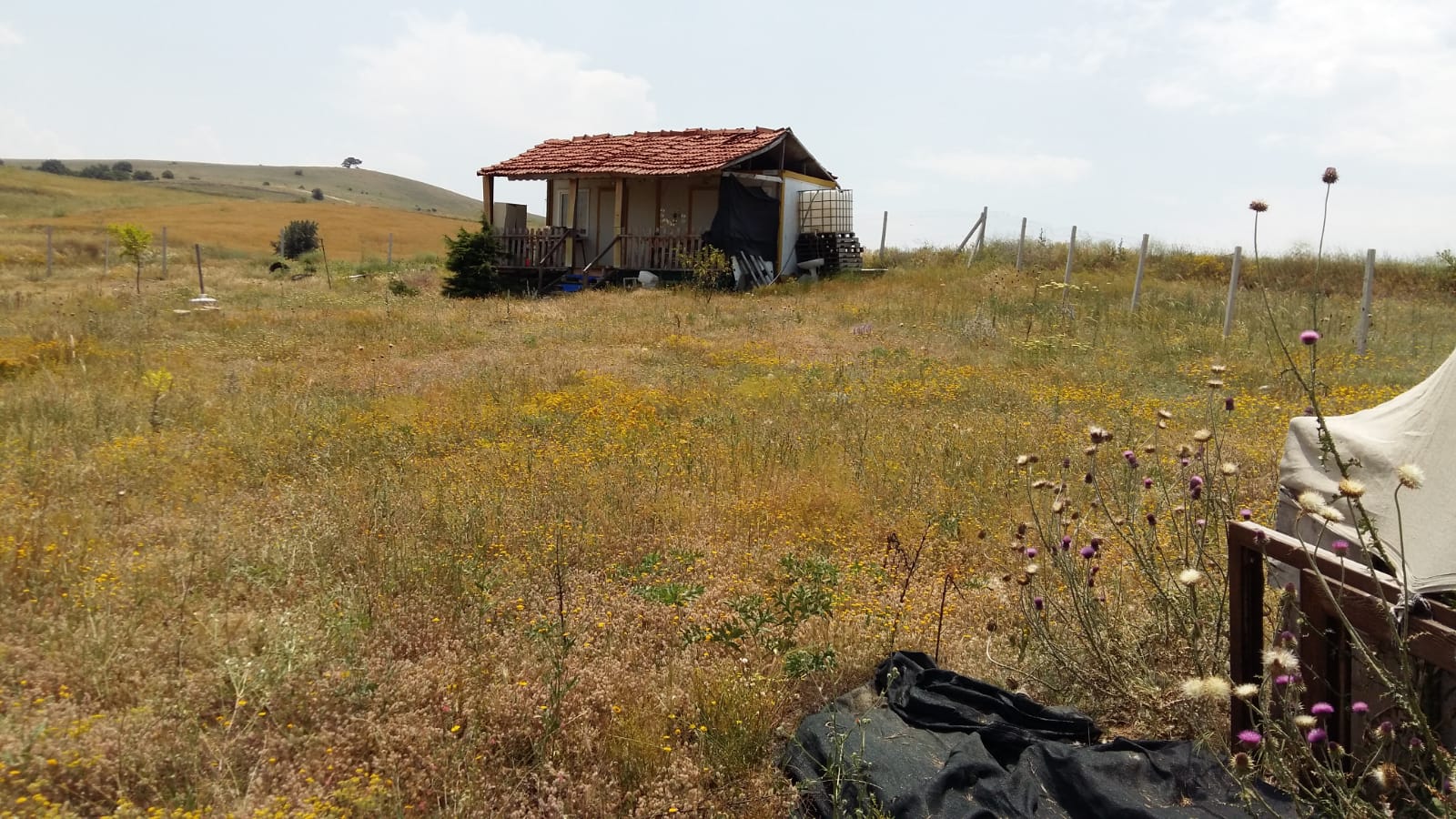 uludere köyünde satılık bahçe